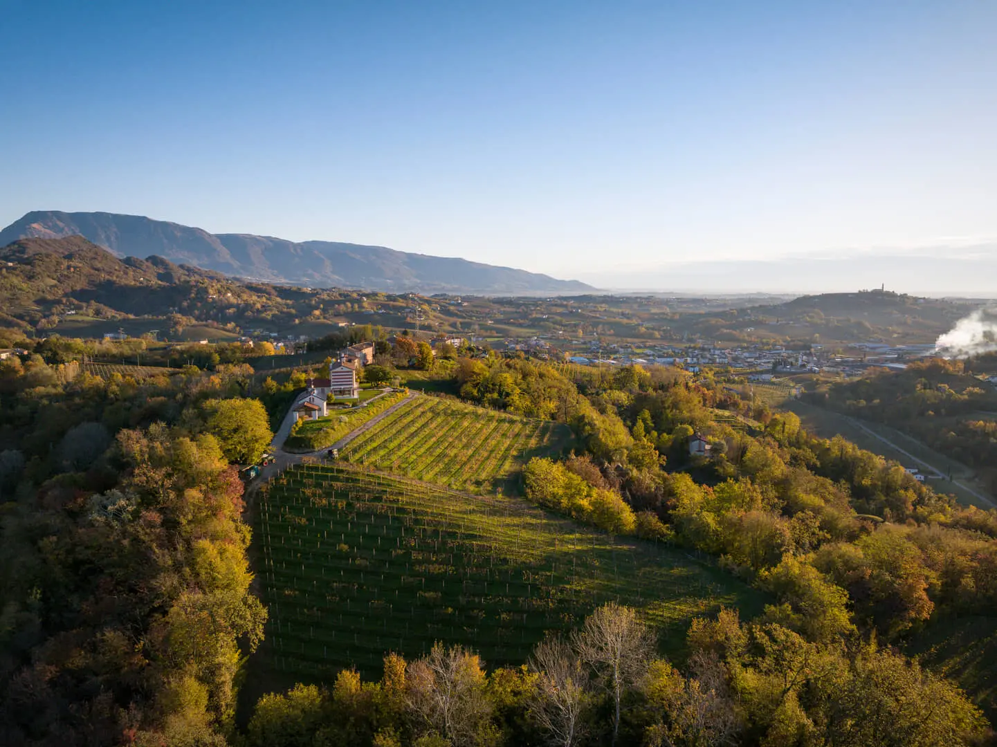 Vista-panoramica-sui-vigneti-del-Duchi-Group